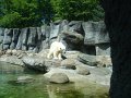 zoo 070